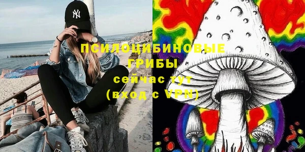 эйфоретик Верея