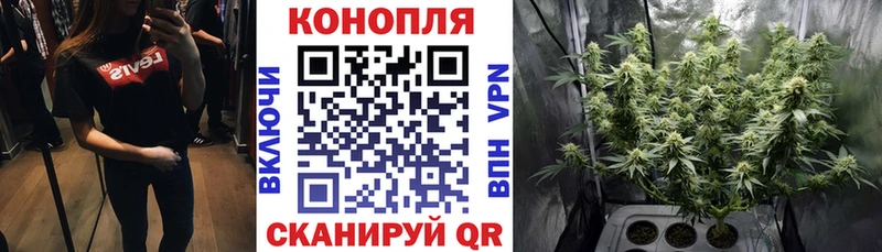 Купить закладки Шацк Конопля THC 21%